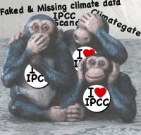 IPCC-Affe
      200 x 191 Pixel